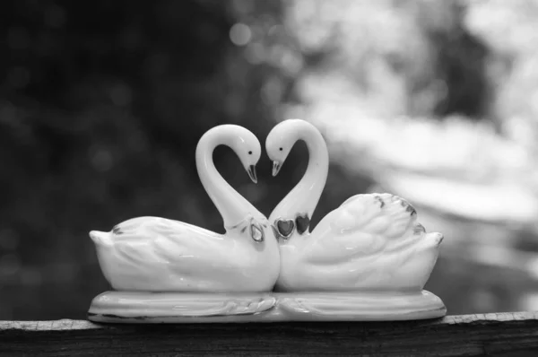 Пара Сувенірних Лебедів Крупним Планом Символ Любові Романтичних Відносин — стокове фото