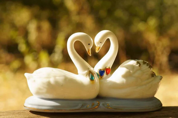 Пара Сувенірних Лебедів Крупним Планом Символ Любові Романтичних Відносин — стокове фото