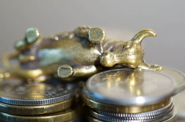 Metal bull with coins on the table. Financial symbol.