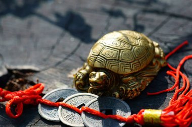 Ahşap arka planda metal kaplumbağa Feng Shui. Yanında da Çin paraları var..