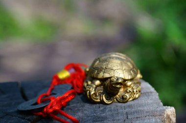 Ahşap arka planda metal kaplumbağa Feng Shui. Yanında da Çin paraları var..