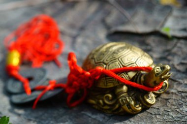Ahşap arka planda metal kaplumbağa Feng Shui. Yanında da Çin paraları var..
