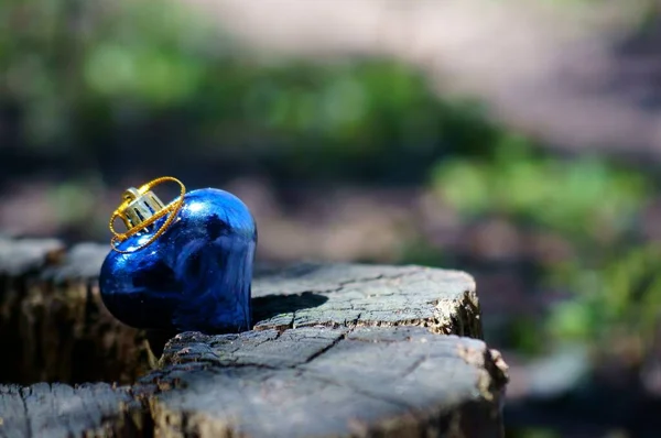Μπλε Καρδιά Παιχνιδιού Στο Δάσος Σύμβολο Αγάπης — Φωτογραφία Αρχείου
