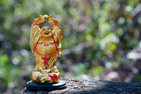 Buddha Statue Auf Farbigem Hintergrund Symbol Für Reichtum Und Wohlstand — Stockfoto