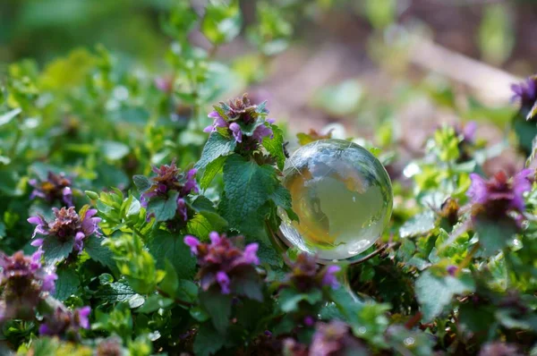 Маленька Скляна Куля Траві — стокове фото