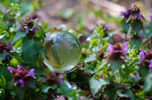 Маленька Скляна Куля Траві — стокове фото