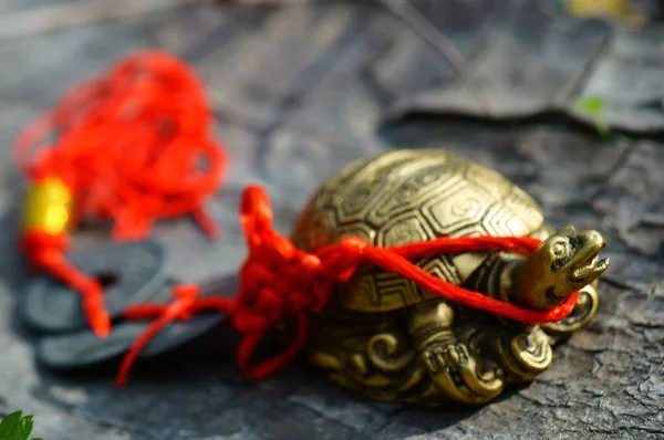 Tartaruga Metallo Feng Shui Uno Sfondo Legno Accanto Esso Sono — Foto Stock