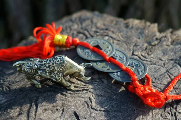 Metal Bull Figurine Close Nearby Chinese Fengshui Coins — Stock Photo, Image