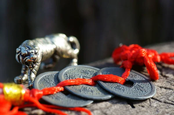 Metal Tiger Figurine Close Nearby Chinese Fengshui Coins — Stock Photo, Image