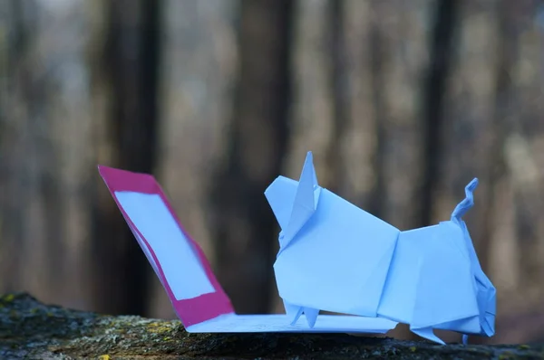 Origami Touro Papel Laptop — Fotografia de Stock