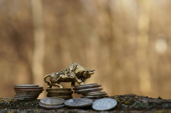 Metal bull figurine with coins close-up.