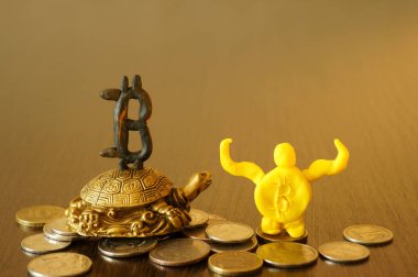 Bitcoin figürlü metal bir kaplumbağa ve masanın üzerindeki paralar..
