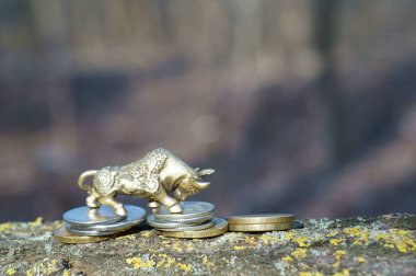 Metal boğa. Paraları yakın plan..