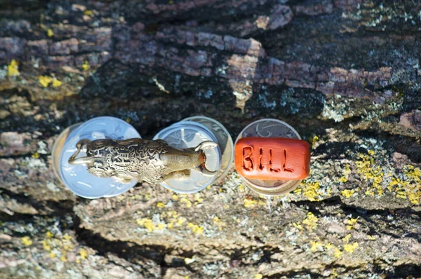 Metal bull with coins and the inscription bill.