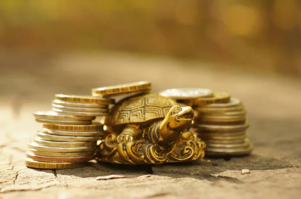 Tortuga Metálica Con Monedas Sobre Fondo Natural Símbolo Estabilidad Financiera Fotos de stock