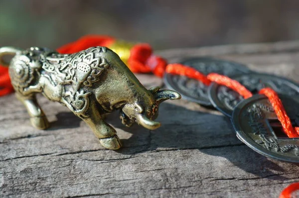 Metal bull figurine with Chinese coins close-up.