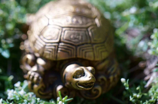 Metal turtle in the green grass. Symbol of wisdom and financial stability.