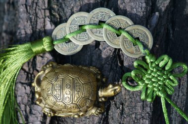 Bir ağaç gövdesinde metal bir kaplumbağa ve birkaç Çin sikkesi. İyi şansın ve maddi refahın sembolü..