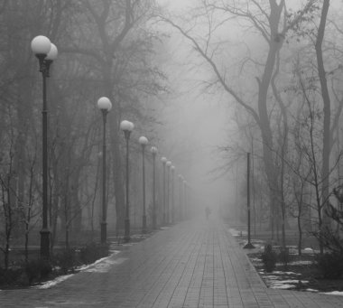 Şehir parkında sis var. Arkaplan resmi.