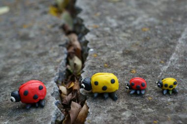 Arka planda iki küçük ve iki büyük uğur böceği. Aralarında bir çatlak var..