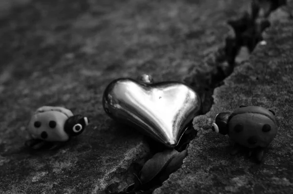 Δύο Πασχαλίτσες Σκούρο Φόντο Υπάρχει Μια Ρωγμή Και Μια Καρδιά — Φωτογραφία Αρχείου