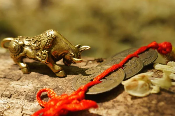 Metal Bull Figurine Bunch Chinese Coins — Stock Photo, Image