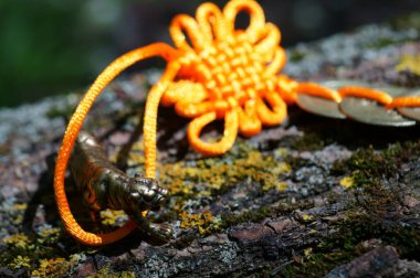 Bir ağaç dalında metal bir kaplan heykeli ve birkaç Çin sikkesi..