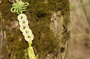 Bir ağaç kabuğunun arka planında birkaç Çin sikkesi var..