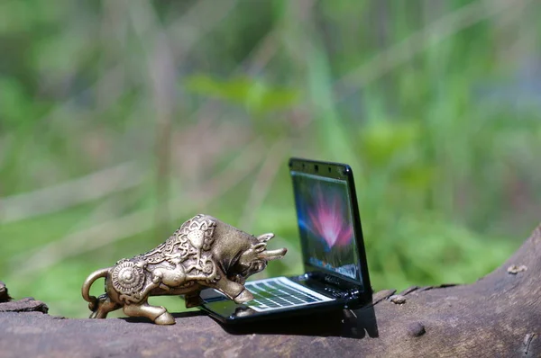 A metal bull figurine with a laptop. Business concept.