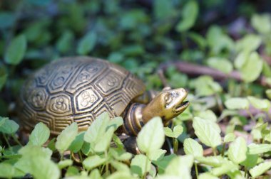 Yeşil çimlerde bir kaplumbağa heykeli. Ezoterik bir sembol..