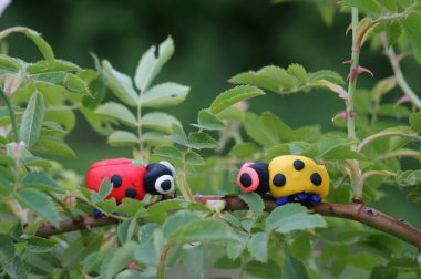 İki uğur böceği bir ağaç dalında plastikten yapılmış..