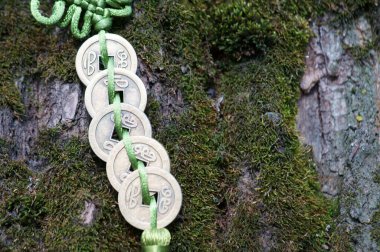 Bir ağaç kabuğunun arka planında birkaç Çin sikkesi var..