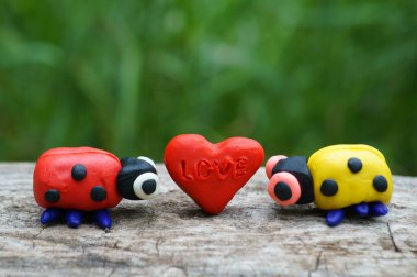 İki uğur böceği ve yakın plan plastikten yapılmış bir kalp. Kalplerdeki yazıt sevgidir..