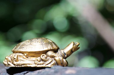 Koyu renkli arka planda metal bir kaplumbağa. Feng Shui sembolü..