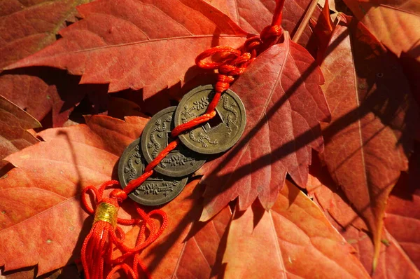 Chinesische Feng Shui Münzen Auf Herbstblättern Symbol Für Glück Und — Stockfoto