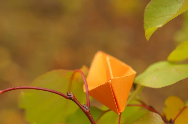 Pomarańczowy Papierowy Jacht Tle Jesiennych Liści — Zdjęcie stockowe