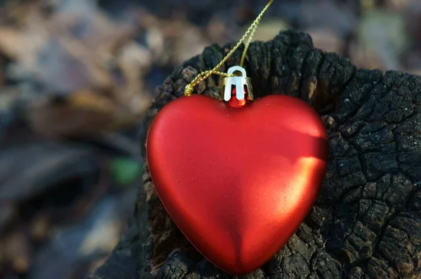 Coração Brinquedo Vermelho Floresta Imagem Fundo — Fotografia de Stock