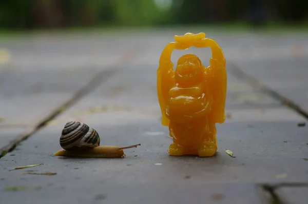 Close-up of a laughing Buddha figure. Next to the snail.