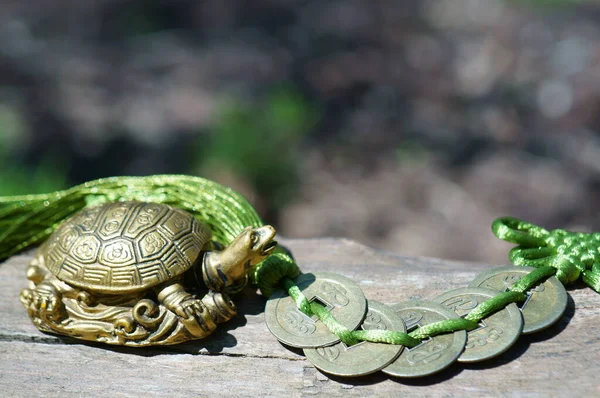 Een Metalen Schildpad Beeldje Een Stelletje Chinese Feng Shui Munten — Stockfoto