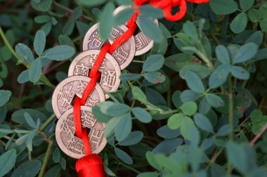 Yeşil çiçeklerin arka planında bir sürü Çin sikkesi. Hiyeroglifler iyi şans ve finansal refah çekmek anlamına gelir..