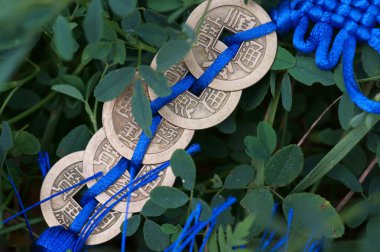 Yeşil çiçeklerin arka planında bir sürü Çin sikkesi. Hiyeroglifler iyi şans ve finansal refah çekmek anlamına gelir..