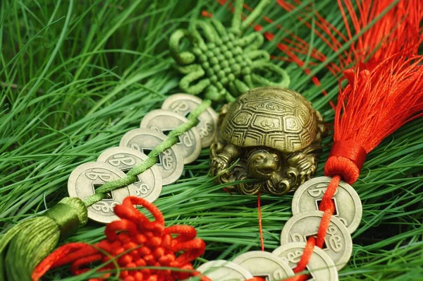 Een Metalen Schildpad Beeldje Met Een Chinese Munt Het Groene — Stockfoto