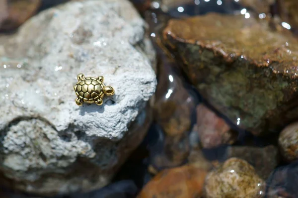 Фигура Маленькой Черепахи Камне Берег Реки — стоковое фото