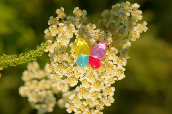 Butterfly Figurine Blooming White Flowers Symbol Spring Beauty Nature — Stock Photo, Image