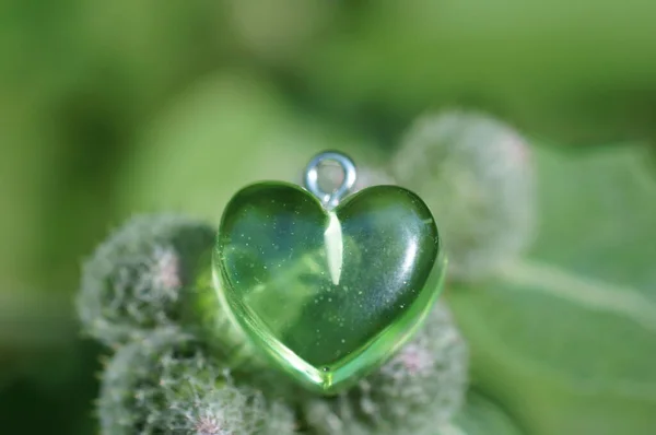 Coração Verde Sobre Fundo Verde Fundo Natural — Fotografia de Stock