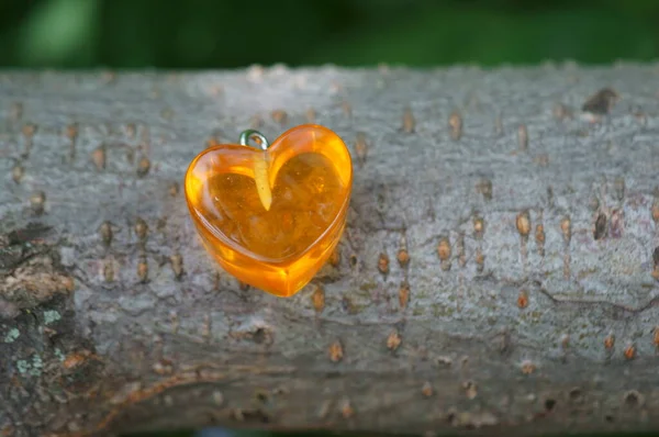 Coração Laranja Num Galho Árvore Símbolo — Fotografia de Stock