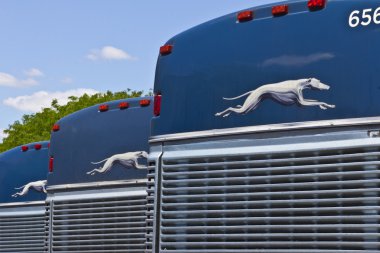 Indianapolis - Circa June 2016: Greyhound Buses. Greyhound offers Inter-City Service to over 2,700 Destinations I clipart
