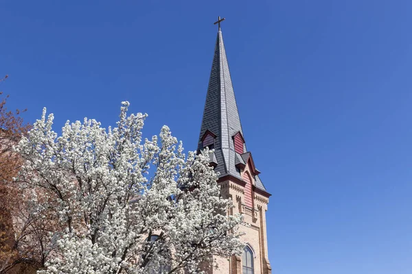 Árbol Primavera Florece Fuera Campanario Iglesia —  Fotos de Stock