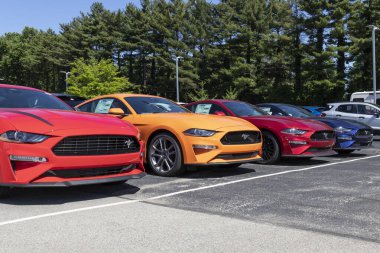 Indianapolis - Mayıs 2021: Ford Mustang sergisi bir galeride. Ford Mustang 'e GT, Mach 1 veya Shelby GT500 gibi temel modeller sunar..