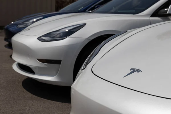 Indianapolis Circa August 2021 Tesla Model Electric Vehicles Display Tesla — Stock Photo, Image